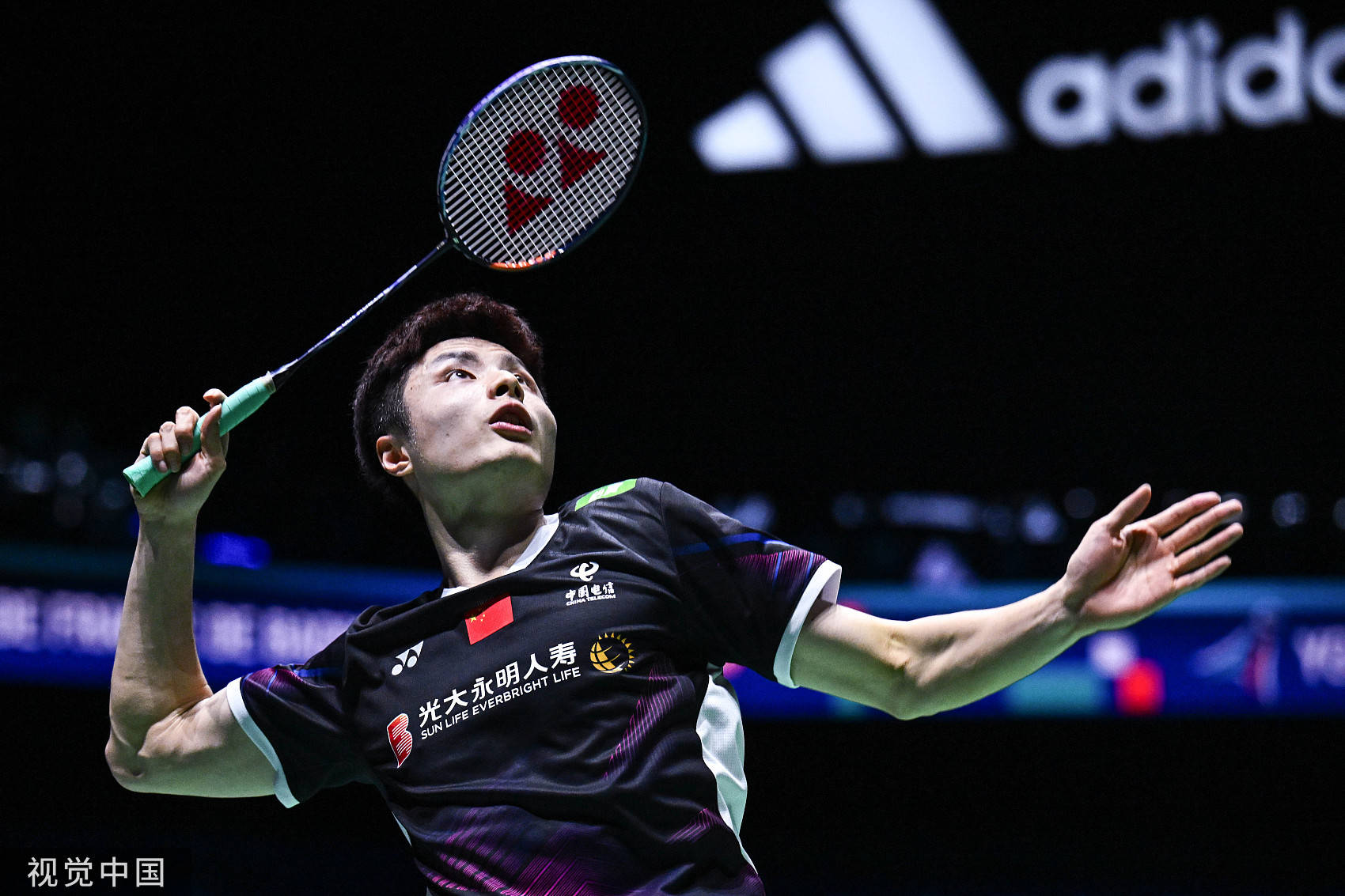 不仅是单回 不仅是单回