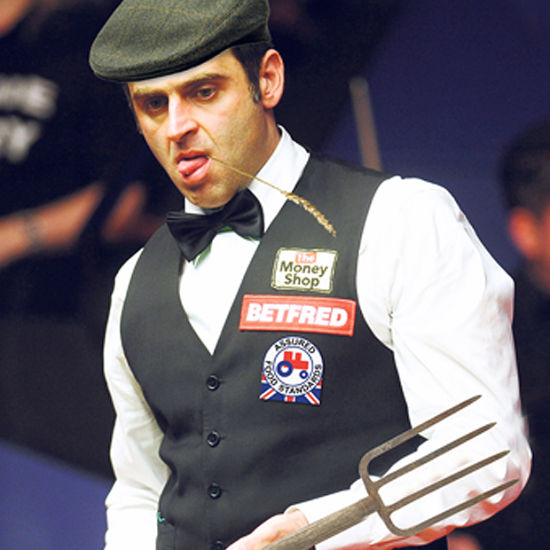 社媒达人共 社媒达人共